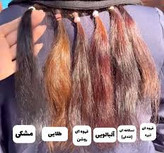 پوشاننده موهای سفید